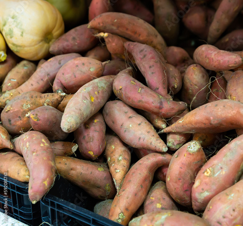 Raw sweet potato in box on farmers market