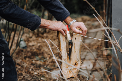 An adult man, a lumberjack, a worker cuts with an ax, breaks dry cracked firewood, logs, trees in the forest, outdoors, nature with his hands. Photography, close-up portrait, work.