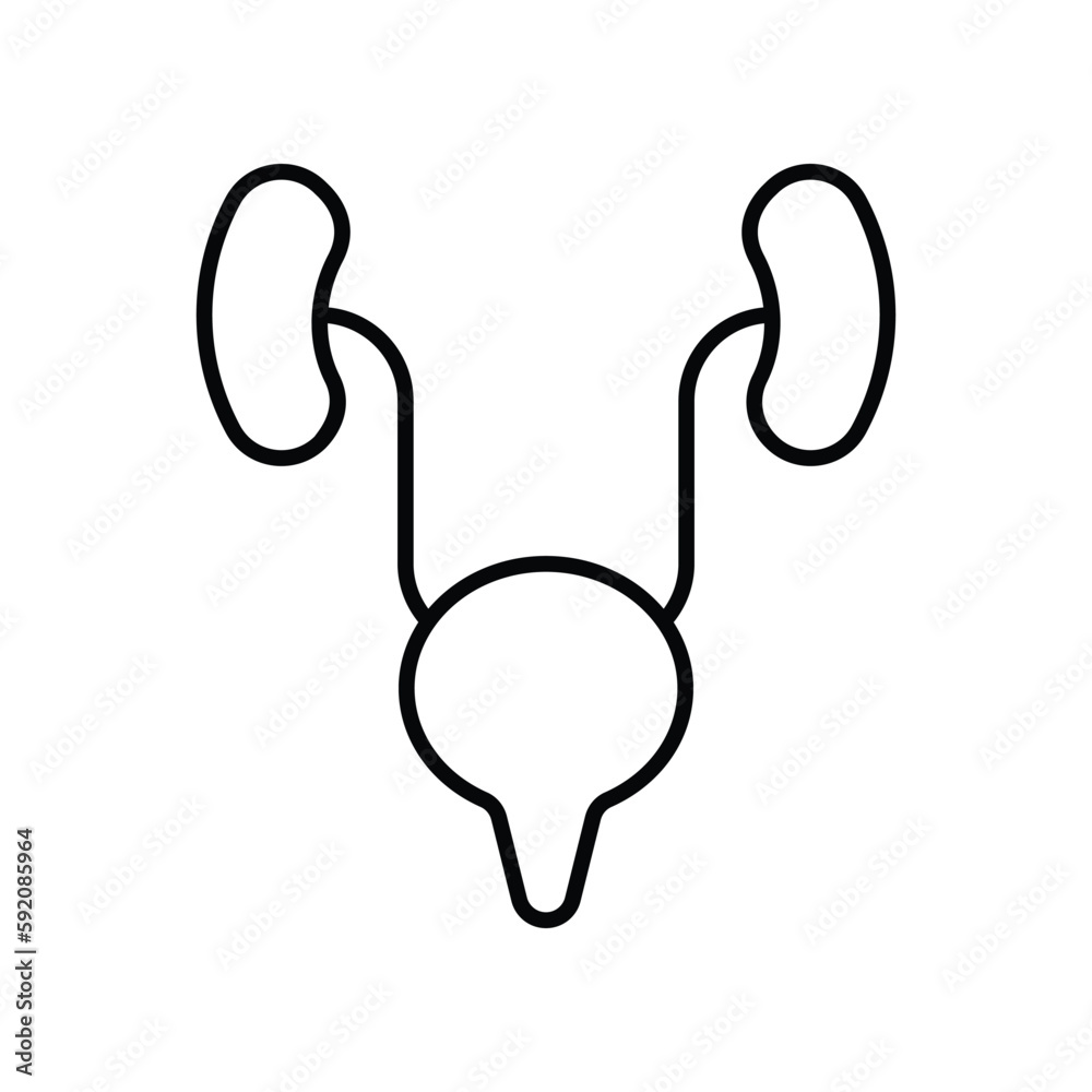 Ureters icon. Suitable for Web Page, Mobile App, UI, UX and GUI design Ureters icon. Suitable for Web Page, Mobile App, UI, UX and GUI design