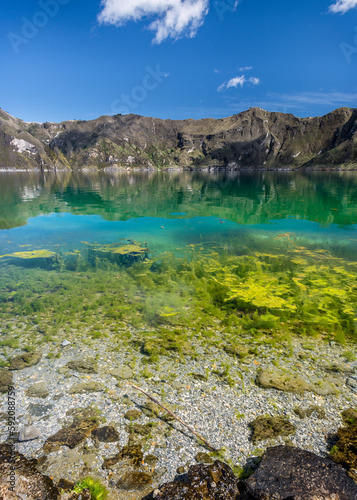Clear water, algae and emerald green lake of the Quilotoa crater on a beautiful sunny day with blue sky
