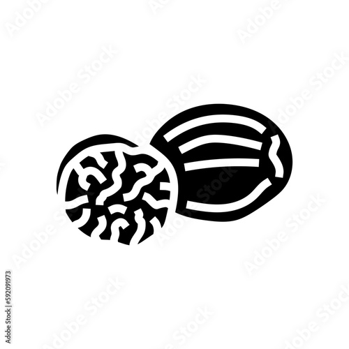 nutmeg food herb glyph icon vector illustration