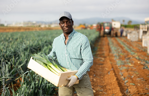 Confident male gardener holding fresh leeks posing on field at vegetable farm