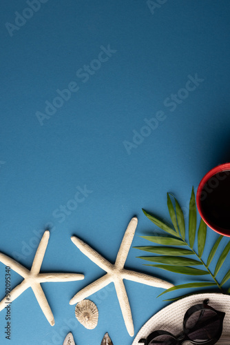 Straw hat, sunglasses, cup of coffee, plant and seashells on blue background with copy space