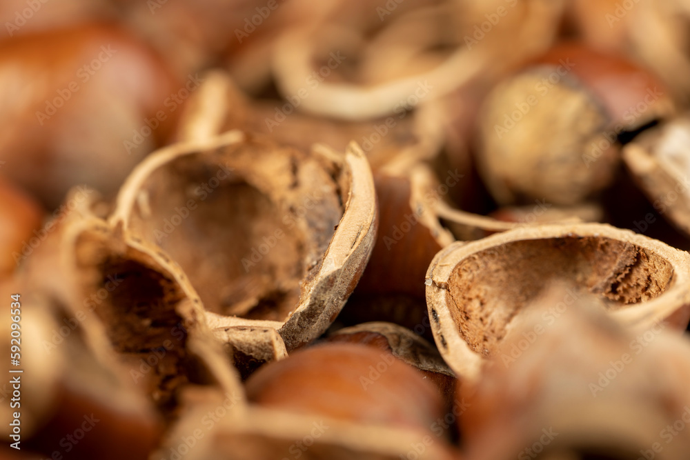 debris left after peeling the hazelnuts from the shell debris left after peeling the hazelnuts from the shell