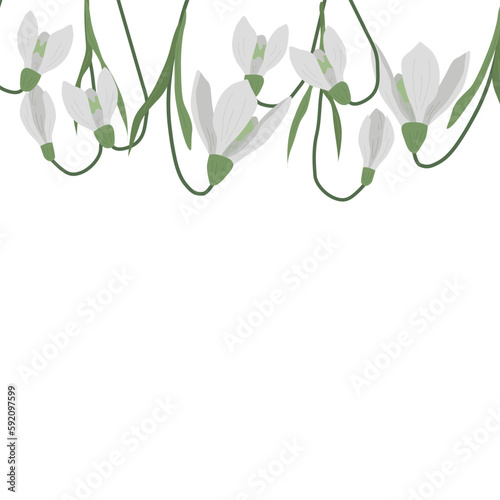 A frame of snowdrops for your design. First spring flowers. Vector illustration.