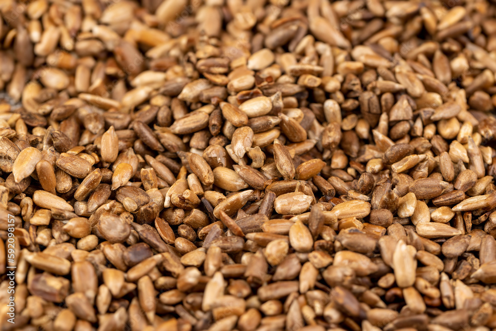 heavily fried sunflower seeds close up heavily fried sunflower seeds close up