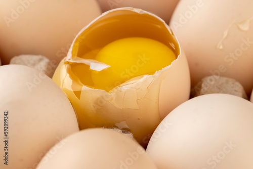 a half-broken chicken egg in a tray with a lot of chicken eggs