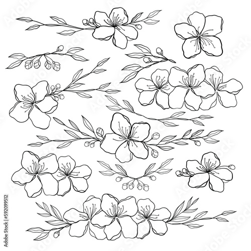set of flowers