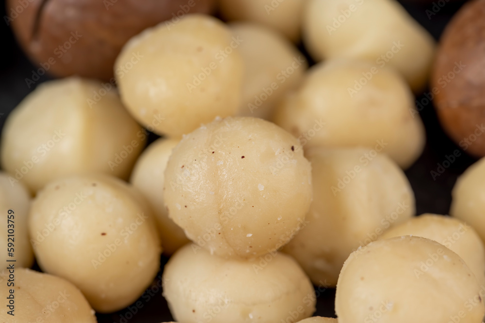 Peeled macadamia nuts on the table Peeled macadamia nuts on the table