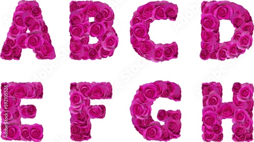 font with pink roses