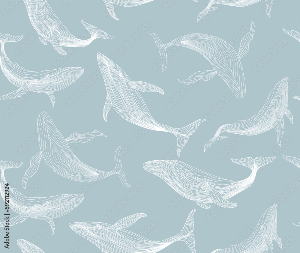 Blue art background with a pattern of whales hand drawn in art line style. Animal seamless pattern for wallpaper, decor, print, textile, fabric, interior design, packaging. Blue art background with a pattern of whales hand drawn in art line style. Animal seamless pattern for wallpaper, decor, print, textile, fabric, interior design, packaging.