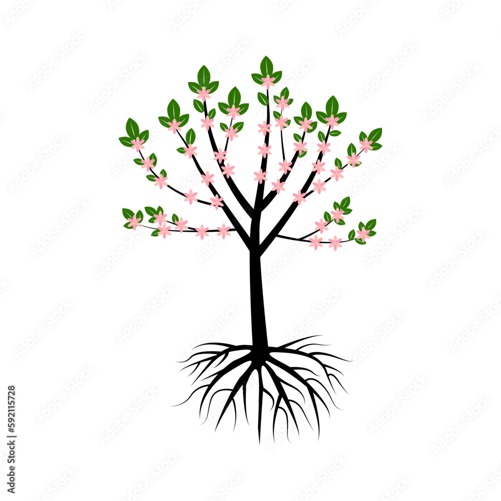 Fototapeta premium tree with roots. Oak tree. Vector illustration.