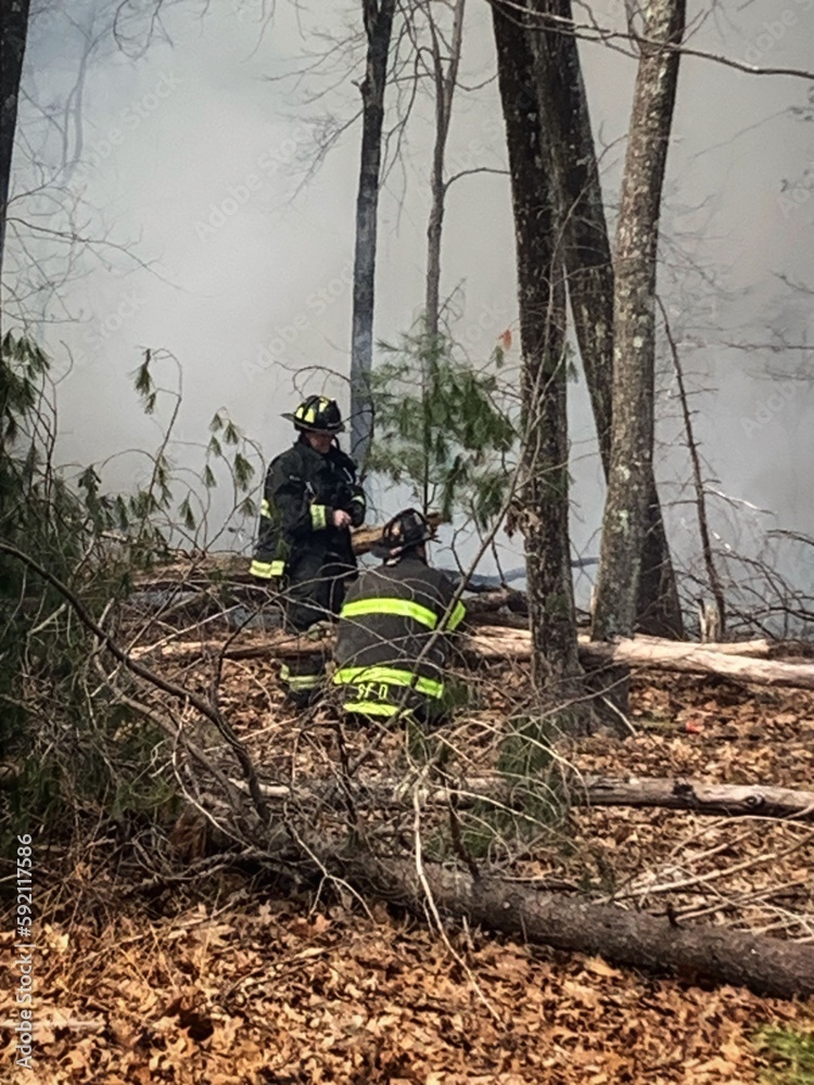 Two Firefighter Firemen Battling Fire in the Woods, Standing, Squatting ,Crouching, Sitting Down Fire Flames & Smoke with Water in the Woods Forest Charred Trees The impact of global warming in World 