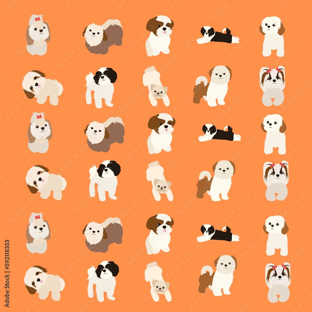 cute Shih Tzu pattern background