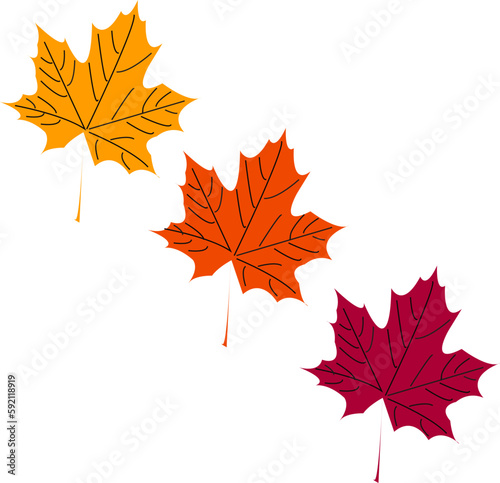 three maple leaves