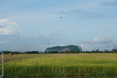 Gunung Keriang (Mount Keriang) is a 250 million year old lump of mainly limestone rock which is said to be in the shape of an elephant and reaches a height of 218 meters.