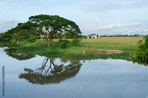 Фотография The beautiful village scene of Kampung kuar Jawa, with plantation canal river around the neighbourhood