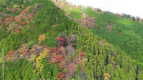 ナメゴ谷の紅葉 Japanese beautiful autumn autumn leaves fall foliage photo