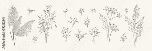 Collection of bouquets of meadow herbs. Botanical set with wild herbs. Black and white. Line art style. Vector illustration.