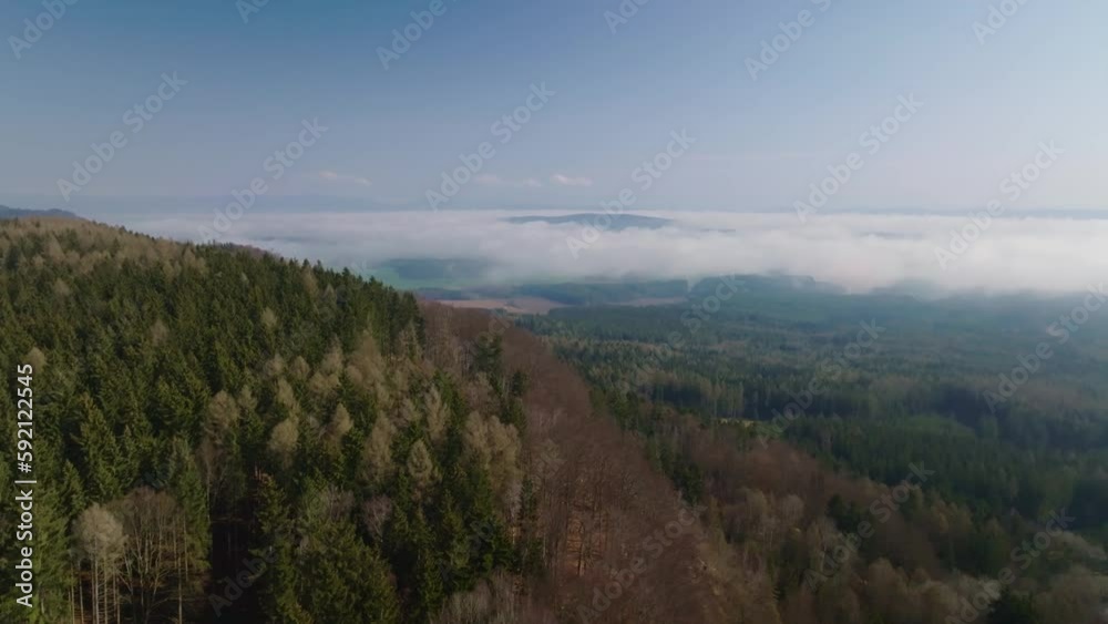 Dense forest on Cloudy Day that stretches through countryside. landscape clips. Dense forest on Cloudy Day that stretches through countryside. landscape clips.