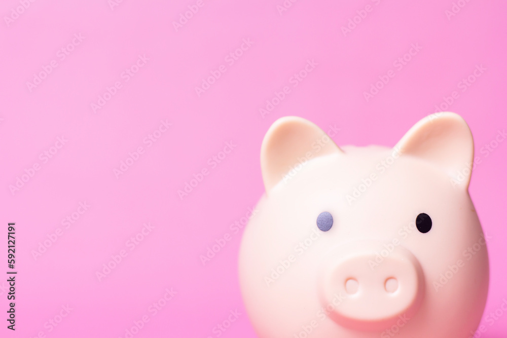 piggy bank on pink background. Finance and Investment Content piggy bank on pink background. Finance and Investment Content