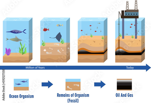 Oil and gas formation step by step diagram, oil and gas industry in the ocean, Formation of petroleum, Oil and Gas Formation vector illustration,