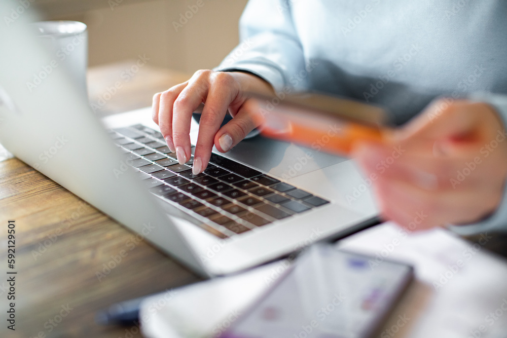 Fototapeta premium Smiling young adult woman online shopping on her laptop in the kitchen of her home