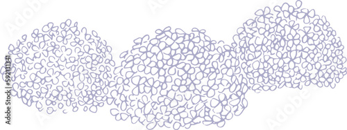 線画。紫陽花の線画イラスト。紫陽花のベクターイラスト。Line drawing. Line drawing illustration of hydrangea. Vector illustration of hydrangea.