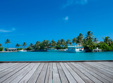 tropical Maldives island with white sandy beach and sea. palm