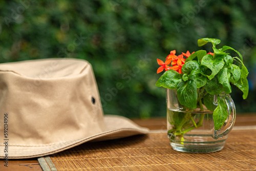 xícara de vidro com buquê de folhas de espinafre orgânico e pequenas flores vermelhas sobre mesa de madeira com chapéu de jardineiro e natureza ao fundo desfocada. photo