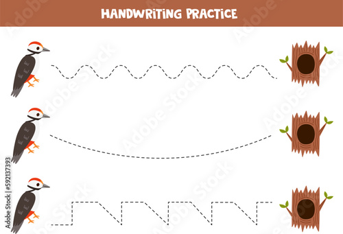 Tracing lines for kids. Cartoon cute woodpecker and tree hollow.