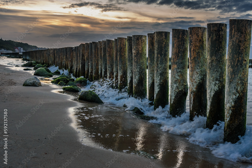 Fototapeta premium Wooden groynes on beach of Baltic sea in Svetlogorsk at sunset. Kaliningrad region. Russia