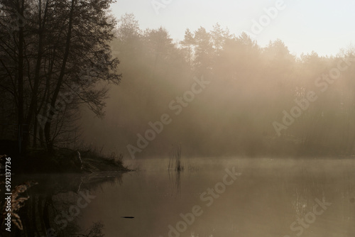 Dark lake in the fog