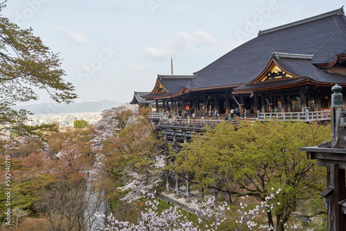 清水寺と桜
