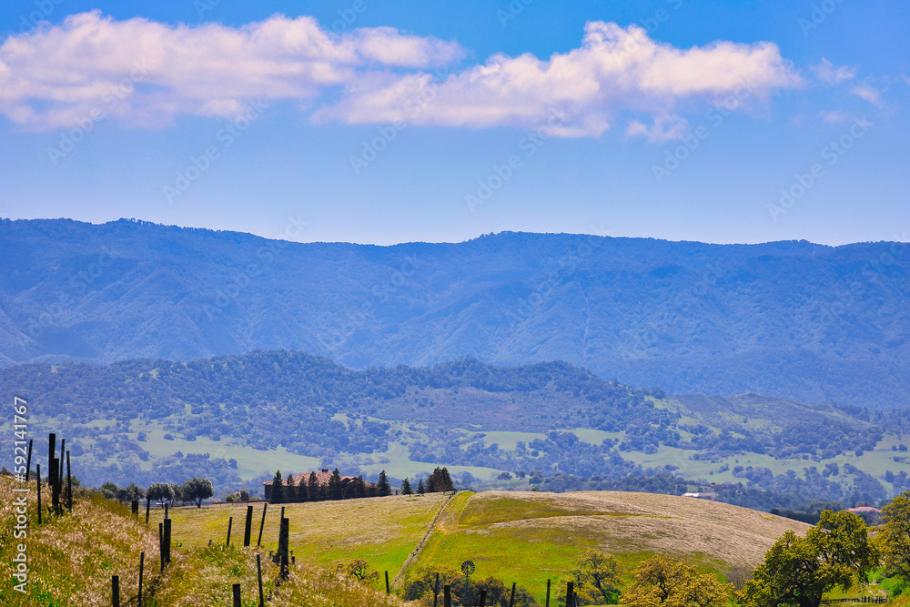 Naklejka premium hiking in Santa Ynez in spring with wildflowers and birds