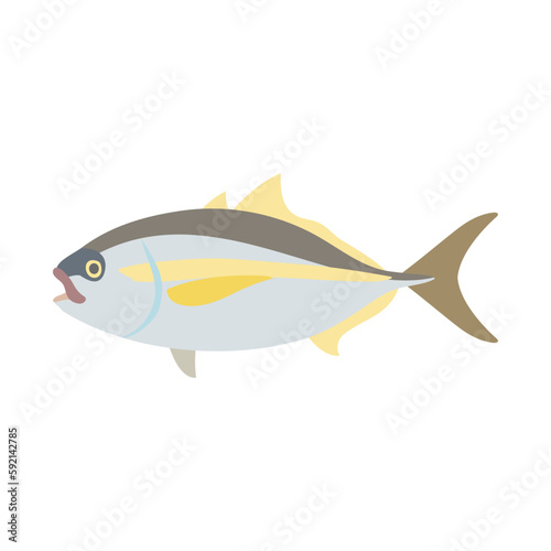 シマアジ。フラットなベクターイラスト。 White trevally. Flat designed vector illustration.