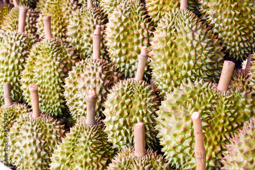 Close-up durian group for sale in a market