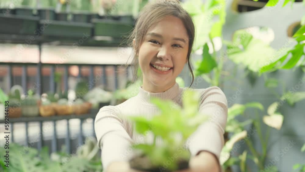 Beautiful asian holding plant pot and smiling to camera at home.