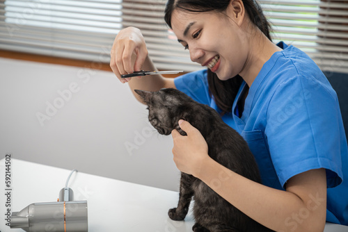Vet surgeon. Cat on examination table of veterinarian clinic. Veterinary care. Vet doctor and cat