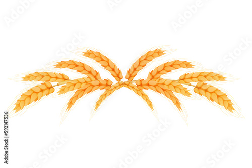 Wreath border from spikelets, golden color wheat horizontal frame in cartoon style isolated on white background. For bakery, tags or labels
