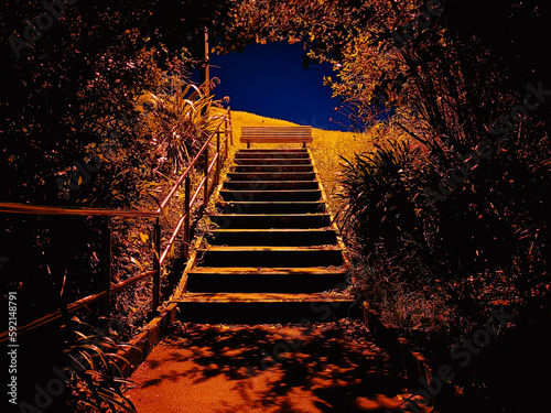 Fototapeta Naklejka Na Ścianę i Meble -  Stairs in park at night