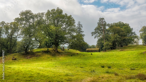 Landscape near Loughrigg Tarn, Cumbria, Lakes District, England