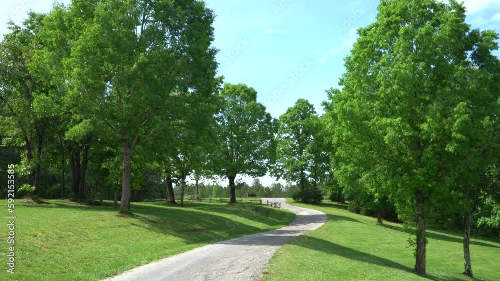 Winding gravel road through beautiful green trees and rolling hills on a farm landscape in the afternoon, concept path, road, route Winding gravel road through beautiful green trees and rolling hills on a farm landscape in the afternoon, concept path, road, route
