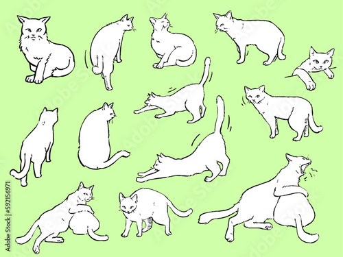 猫のペン画イラスト