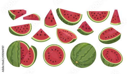 watermelon. sliced fresh healthy fruits. Vector cartoon illustrations set of watermelons