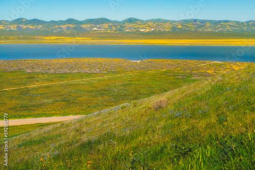 Soda Lake overlook  and wildflowers bloom at Carrizo Plain Ntional Monument  California