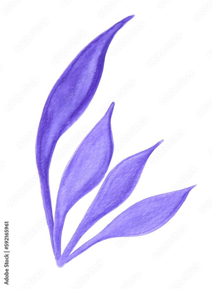Purple twig. Watercolor drawing. Sketch