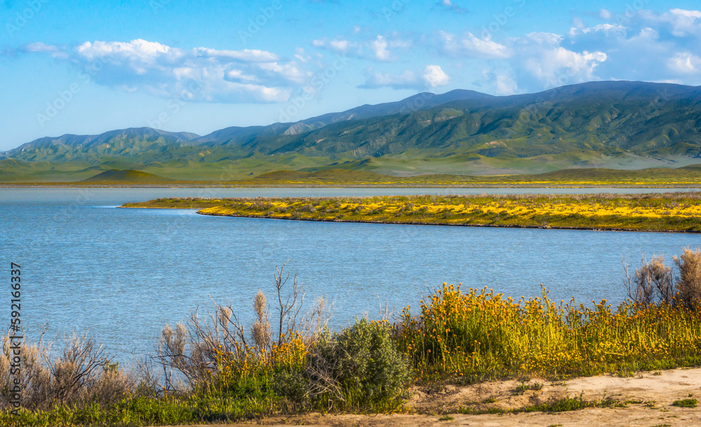 Soda Lake full of water, and wildflowers bloom at Carrizo Plain Ntional Monument, CA