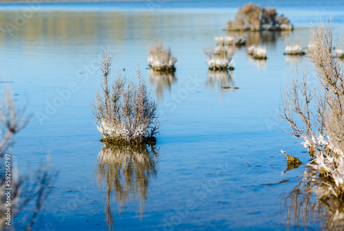 Soda Lake,the largest remaining natural alkali wetland in southern California. Lake concentrates salts as water is evapoarted away, leaving white deposits of sulfates and carbonates photo