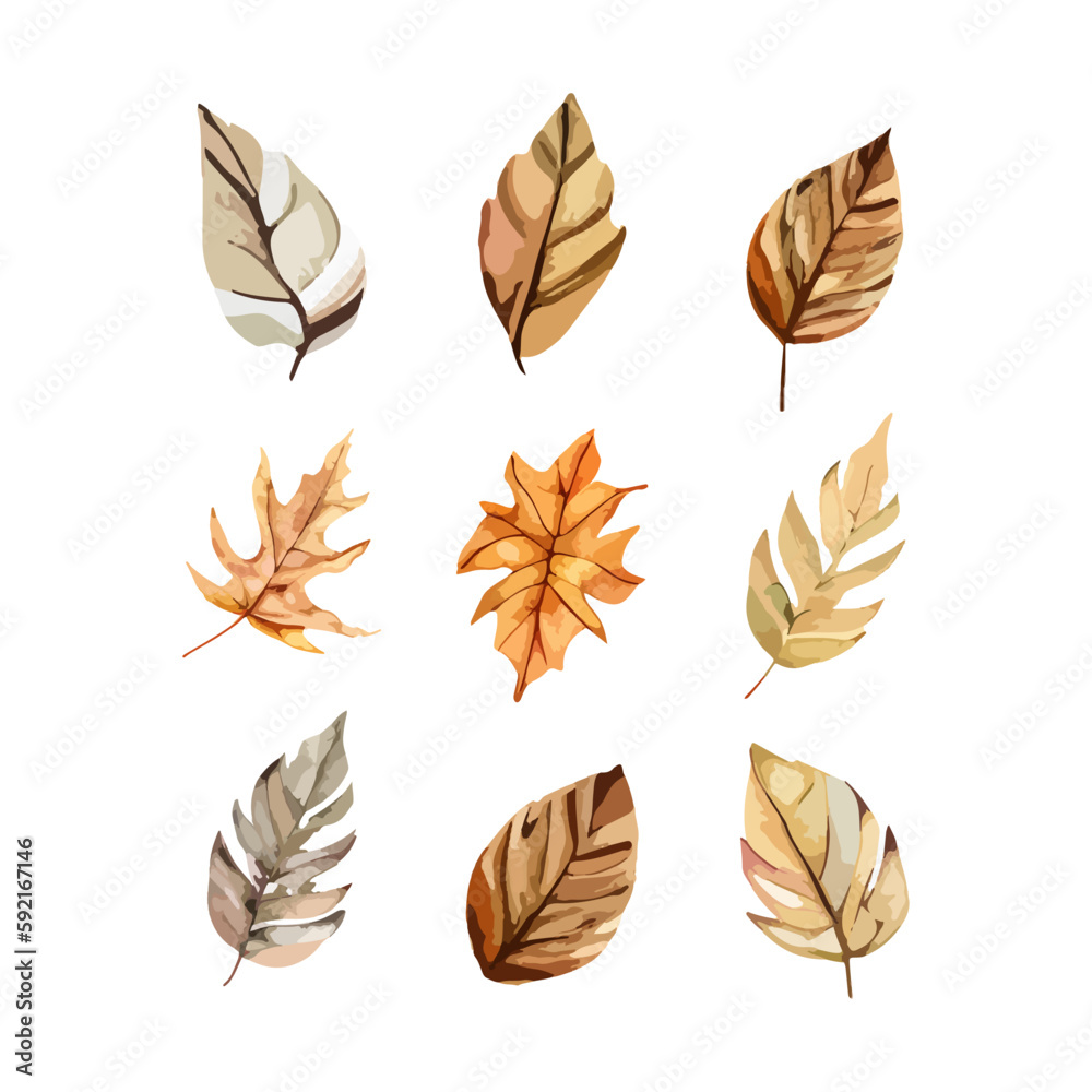 Watercolor Style Autumn Leaves with White Background
